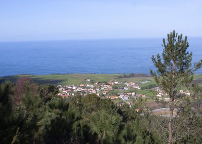 Ballota – Luarca